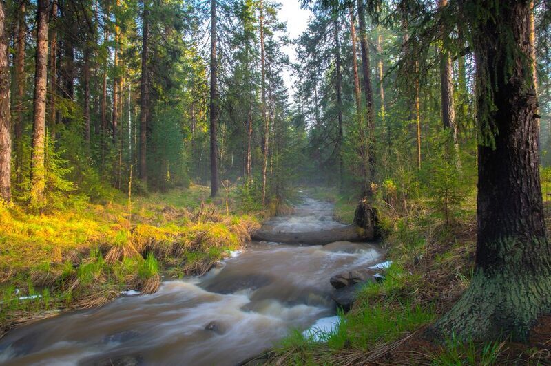 Весеннее половодьеphoto preview