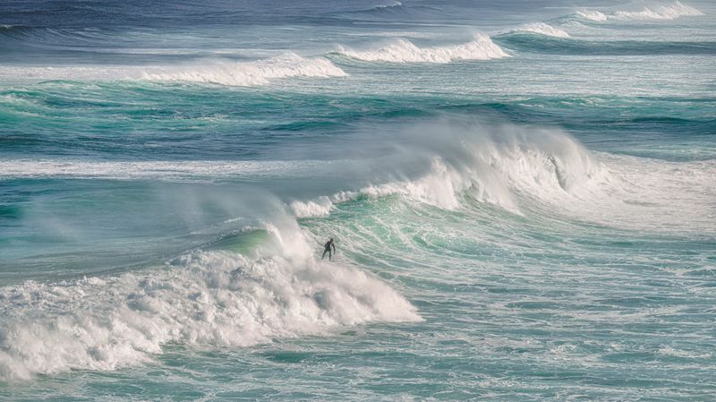 На встречу ветру фото превью