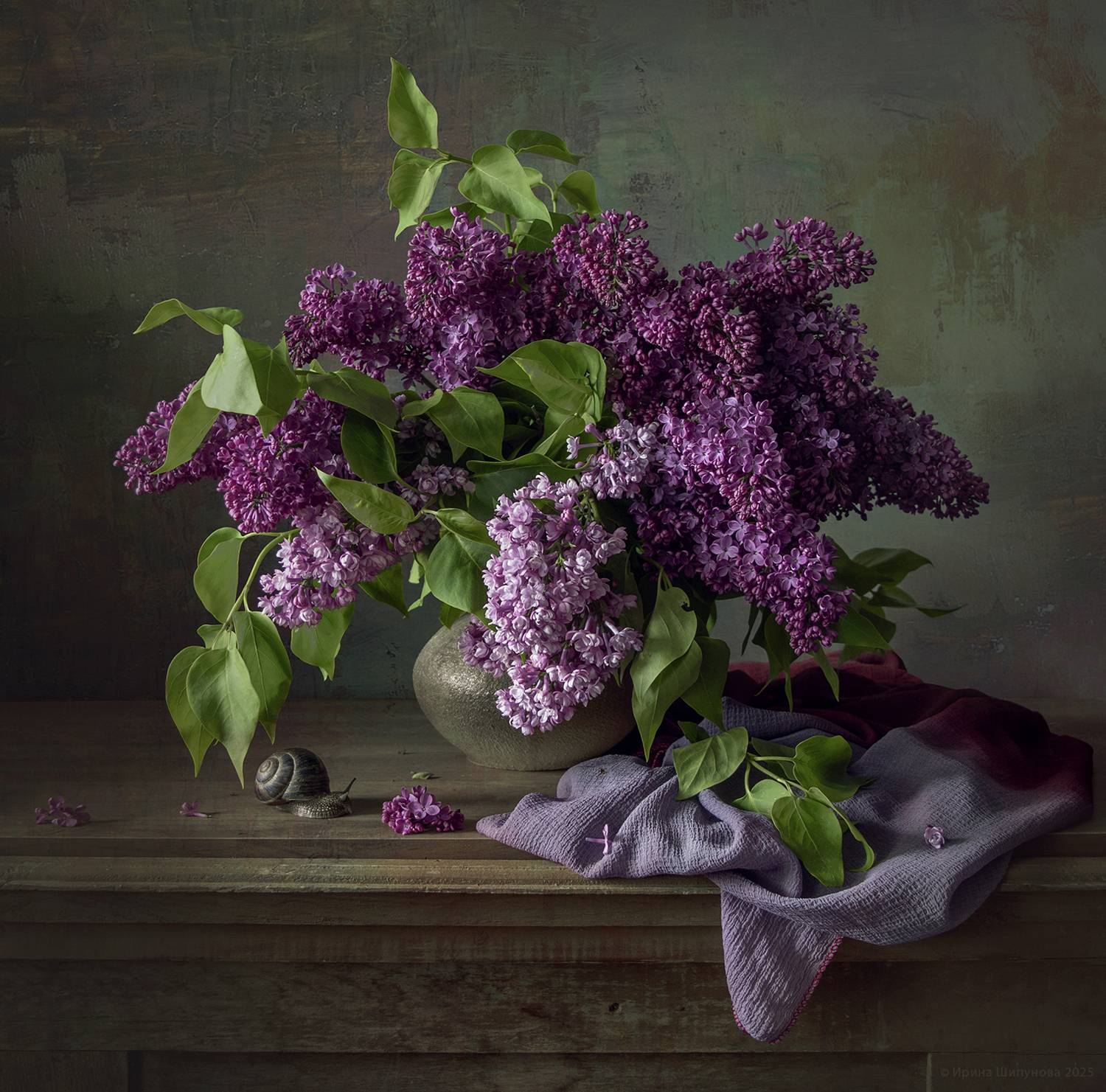 , Шипунова Ирина