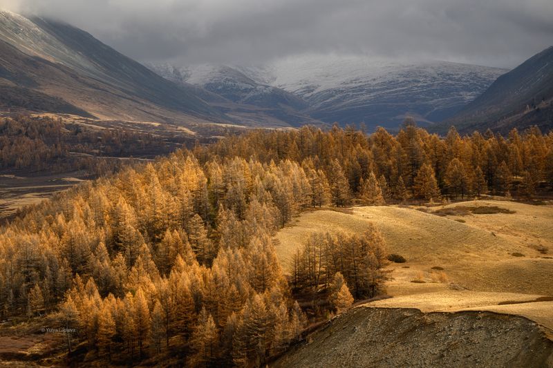 горный, алтай \