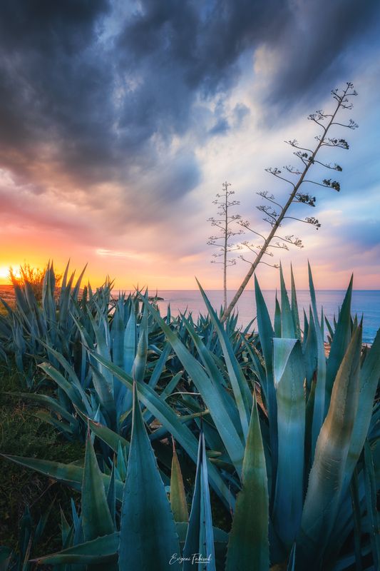 Кипрphoto preview