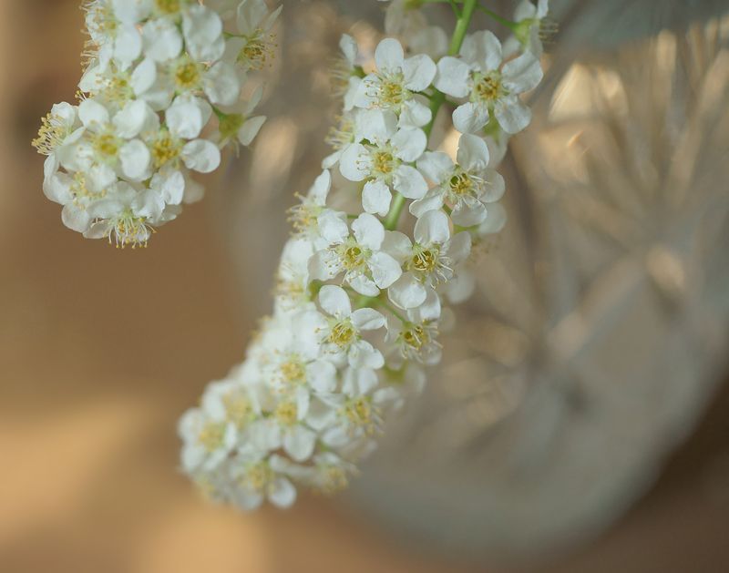 Весеннее утроphoto preview