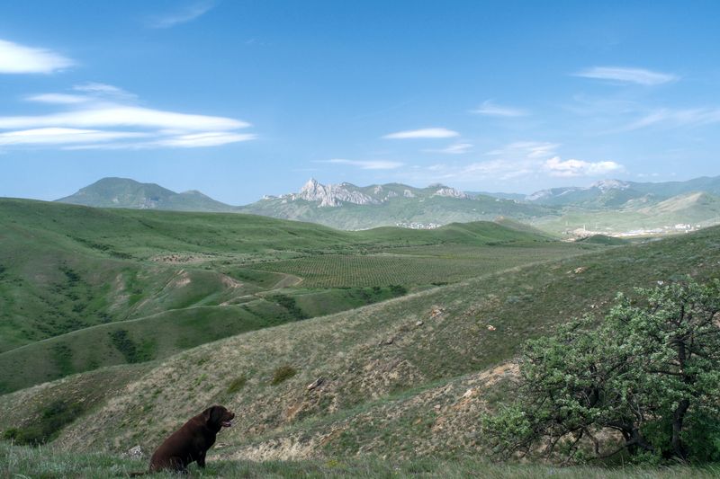 Магия волошинских холмовphoto preview