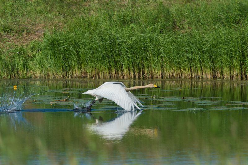 в погоне за счастьемphoto preview