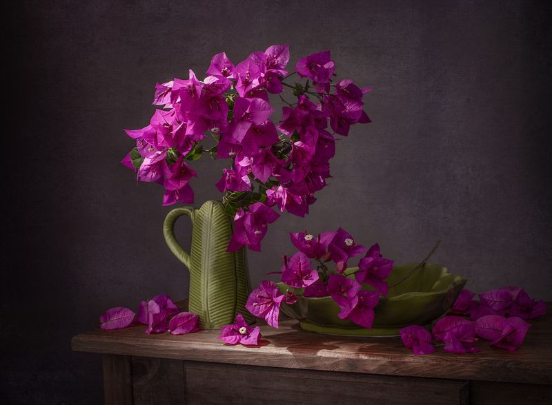 still life, flowers, Bougainvillea, color, pink, light Bougainvilleaphoto preview