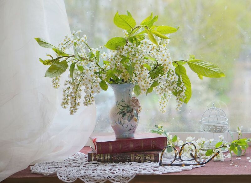 С черемухой фото превью