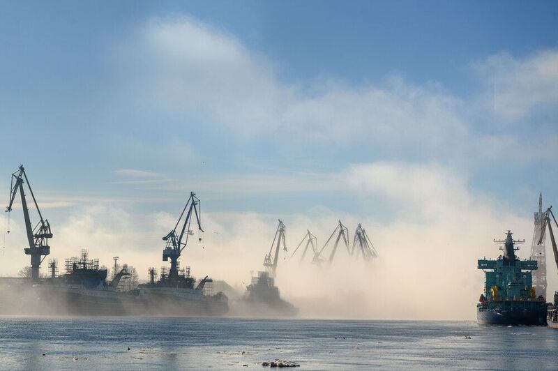 Птеродактили с планеты Шелезяка фото превью