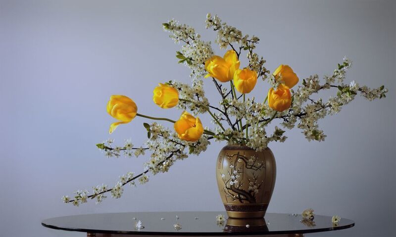 жёлтые тюльпаны, цветы торна Майский этюдphoto preview