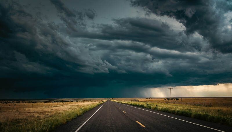 Nancy Ricephoto preview