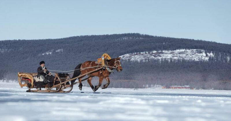 mongolian noamdic winter ice festival khuvsgul lake horse man portrait Mongolian winter ice festivalphoto preview