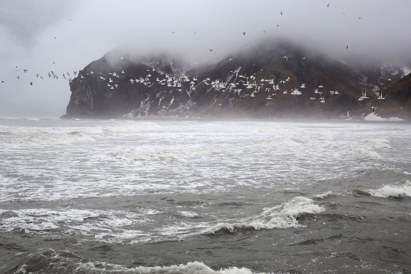 Вечерний перелет фото превью