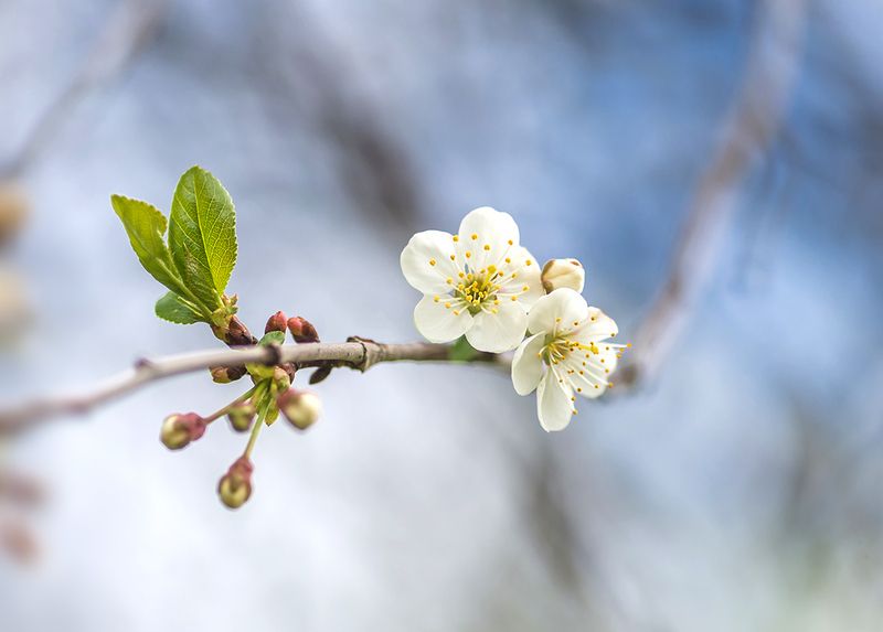 ✿⊱╮ photo preview