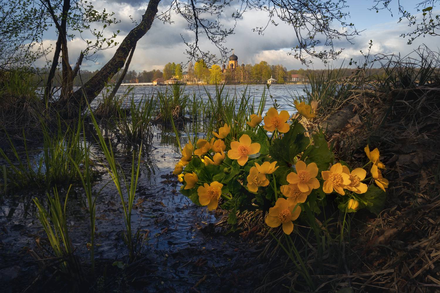 Автор: Аброскин Игорь , Аброскин Игорь