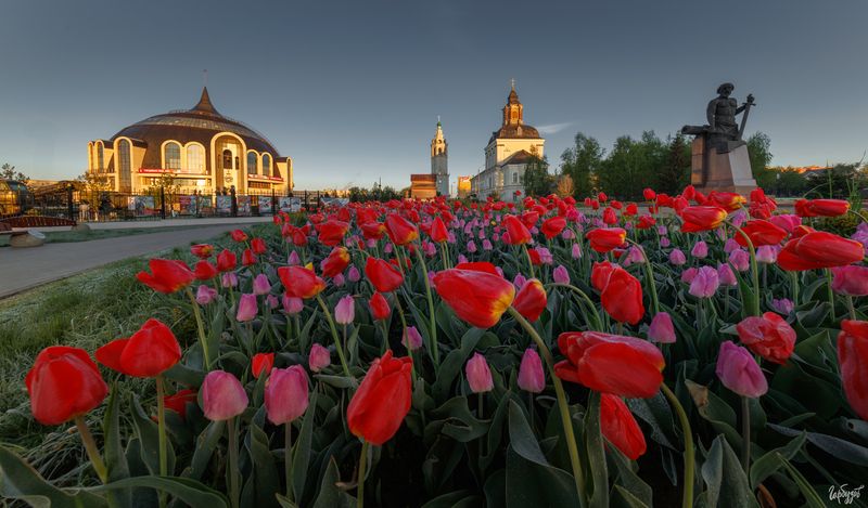 Тюльпаны Победыphoto preview