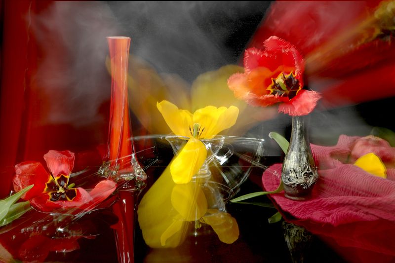 цветы, тюльпаны, яркие, абстракция Тюльпановая абстракцияphoto preview