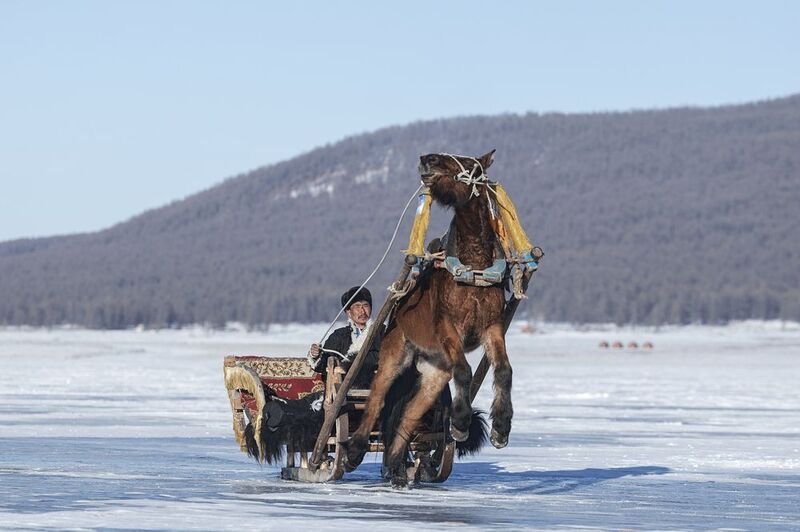 mongolian noamdic winter ice festival khuvsgul lake horse man portrait Mongolian winter ice festivalphoto preview
