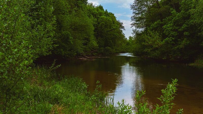 Речкаphoto preview