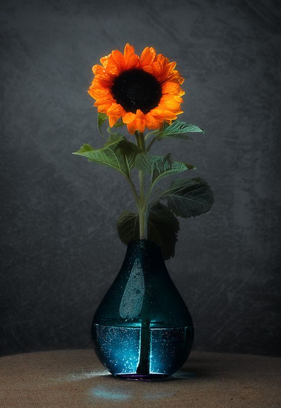 * фото превью