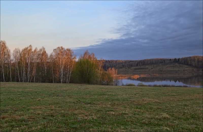 Когда серая весна переходит в  начало зелёной весныphoto preview