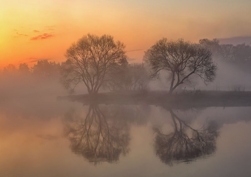 весна, туман, рассвет, беларусь Между нами туманphoto preview