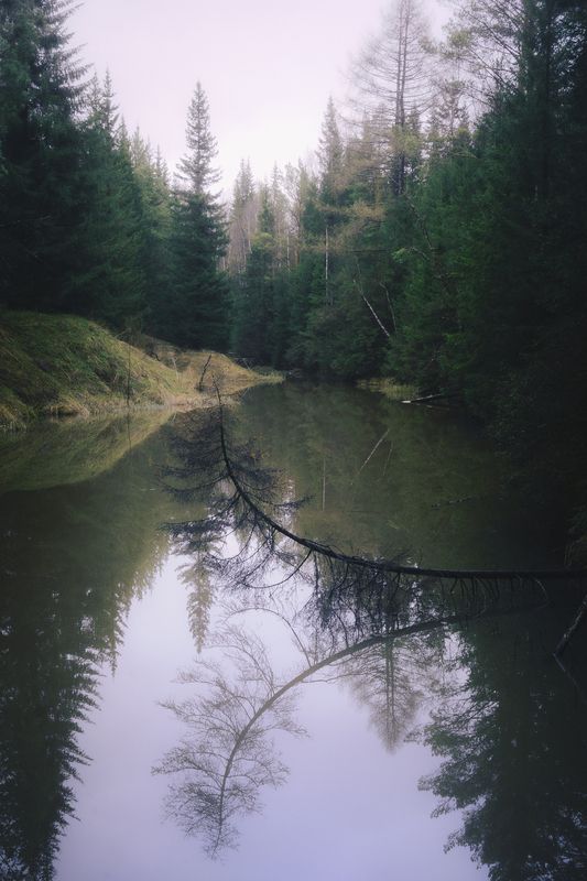 Весна в национальном парке Зюраткульphoto preview