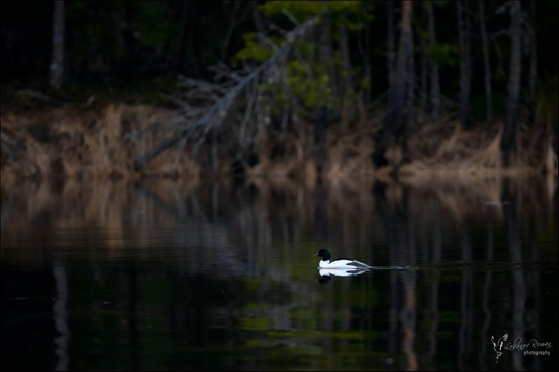 Когда маскировка не удаласьphoto preview
