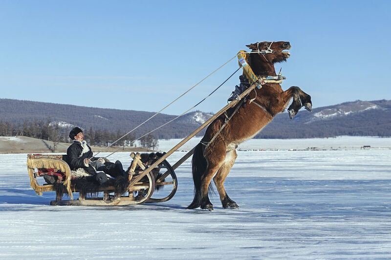 mongolian noamdic winter ice festival khuvsgul lake horse man portrait Mongolian winter ice festivalphoto preview