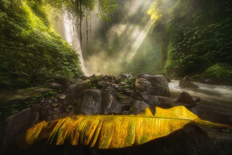 бали, nungnung, водопад, нунгнунг Nungnungphoto preview