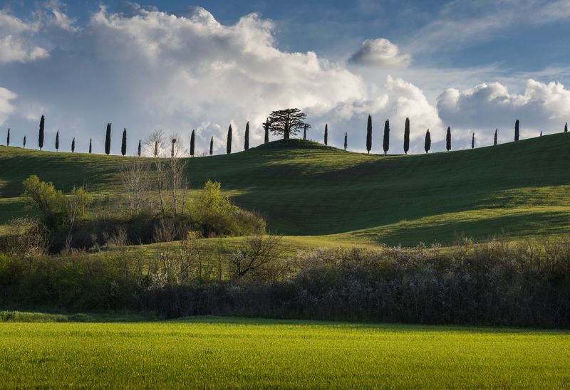 Тосканаphoto preview