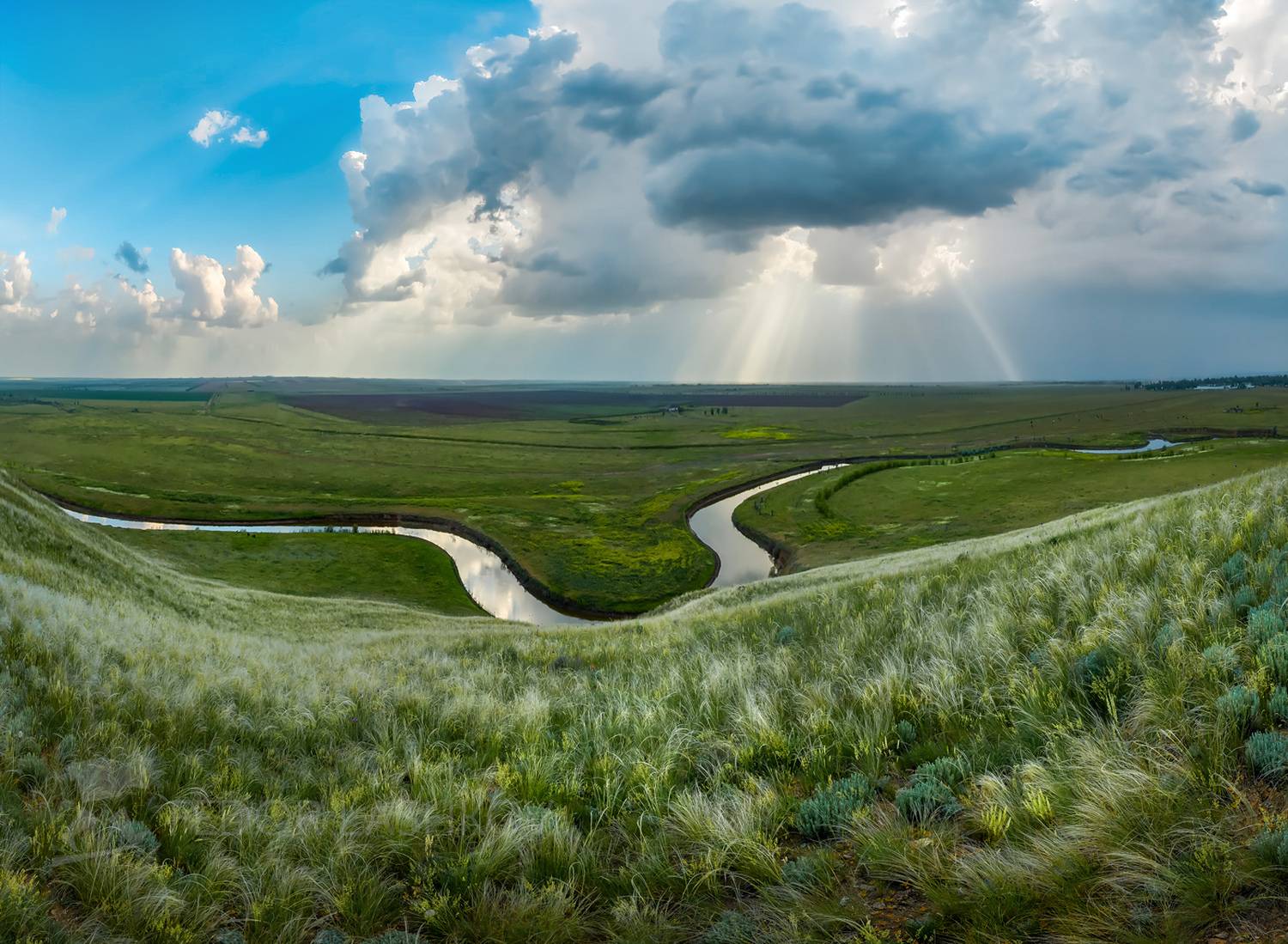 ставропольский край, ставрополье, весна, весенний, цветение, степь, степное, весна, летнее, гроза, река, облака, тучи, ковыль,, Лашков Фёдор