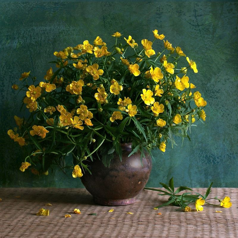 Лютикиphoto preview