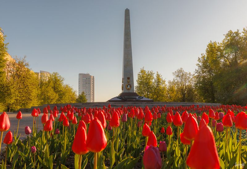 Стела Город-Герой в Туле.photo preview