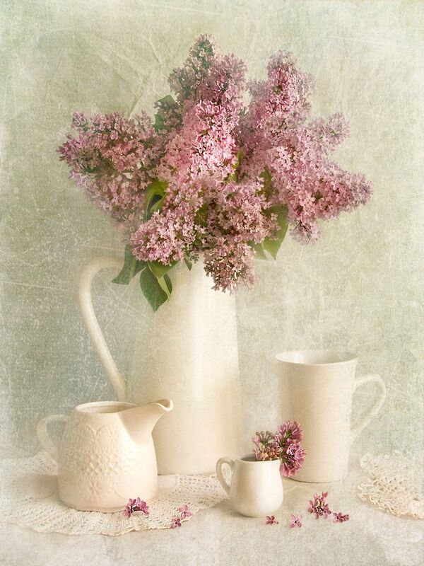натюрморт, сирень, натюрморт с сиренью, белый натюрморт, цветы, вазы Натюрморт с сиреньюphoto preview
