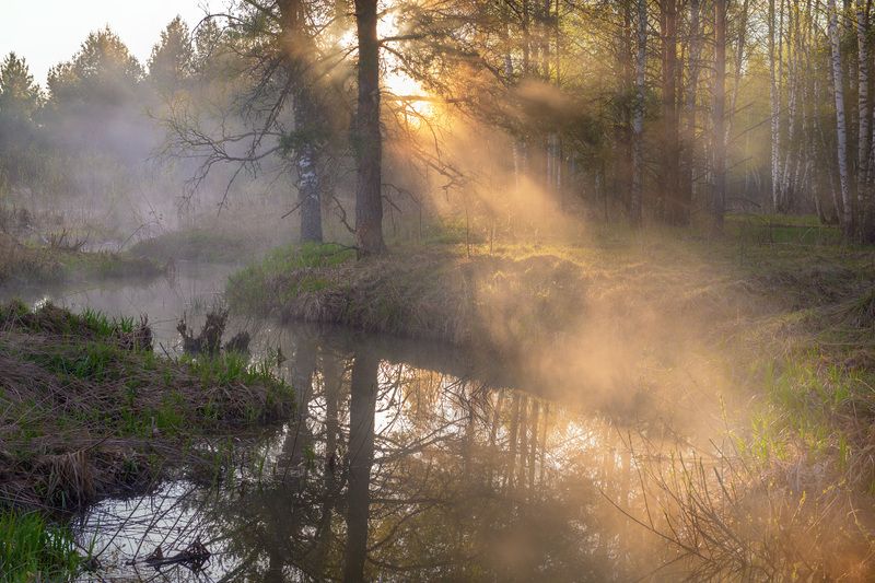 утро туман речка тюряха апрель День начинается.photo preview