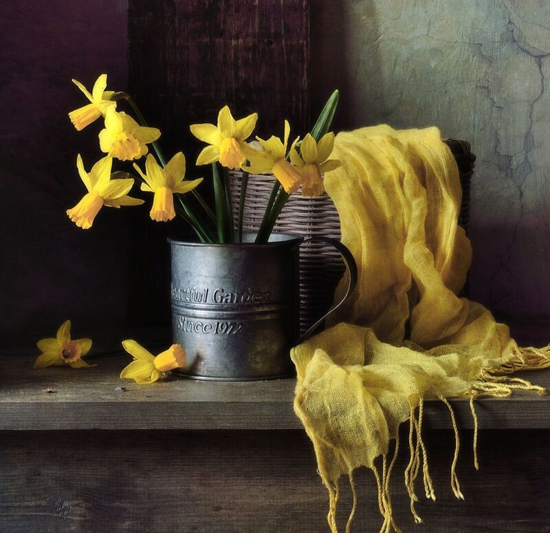 натюрморт,нарциссы,цветы,корзинка весенний...photo preview