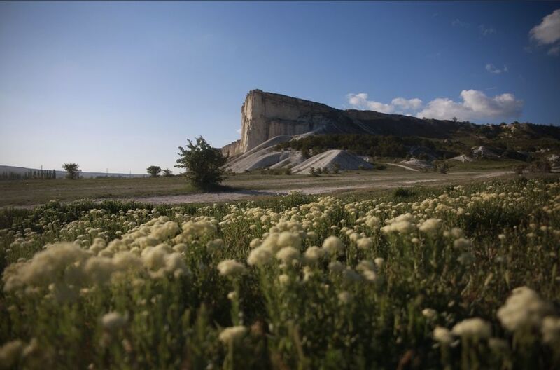 крым, пейзаж, скала, природа, цветы, горы, цветение, солнце, день Белая скалаphoto preview