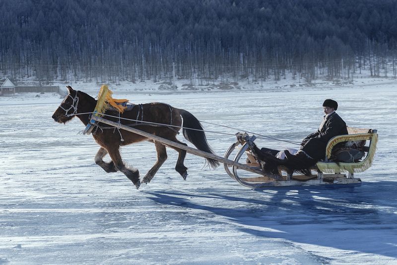 mongolian noamdic winter ice festival khuvsgul lake horse man portrait Mongolian winter ice festivalphoto preview