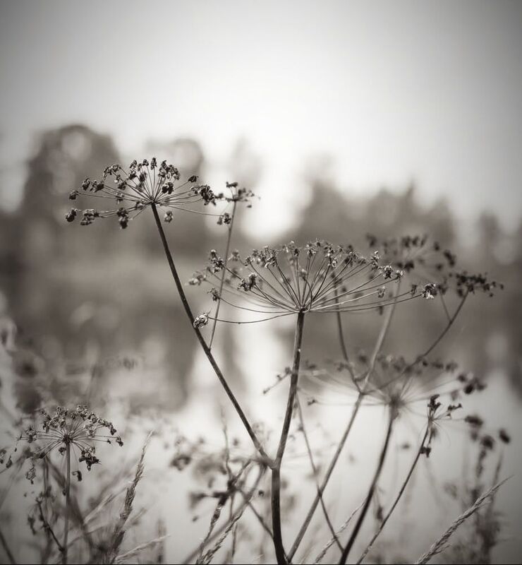 .. и просто так фото превью