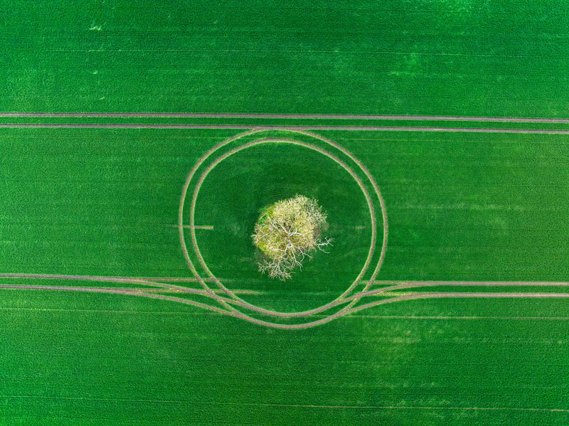 Весна, еще один оборот вокруг солнца фото превью