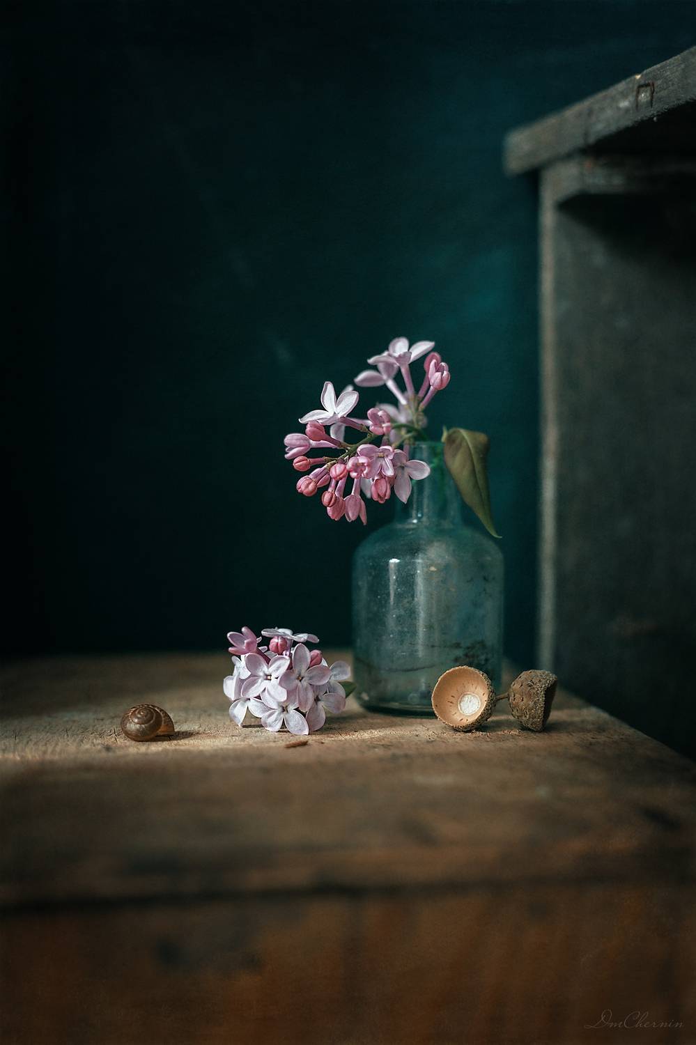 , Чернин Дмитрий