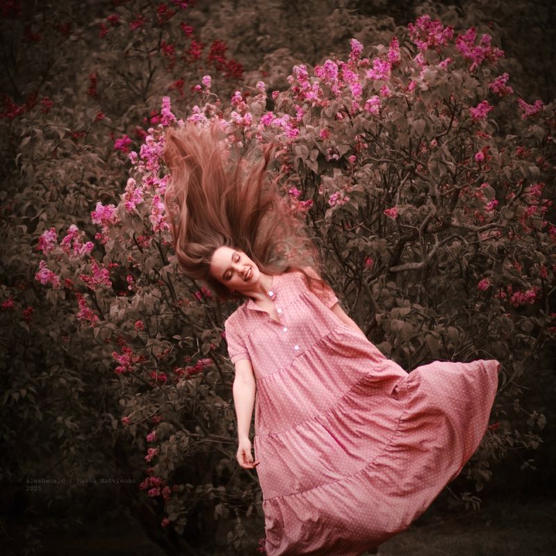 Untitledphoto preview