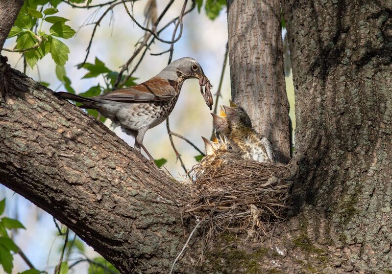 хватит на всехphoto preview
