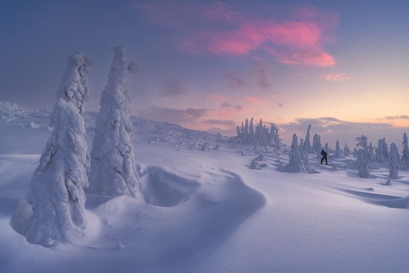 Под присмотром снежных страж фото превью