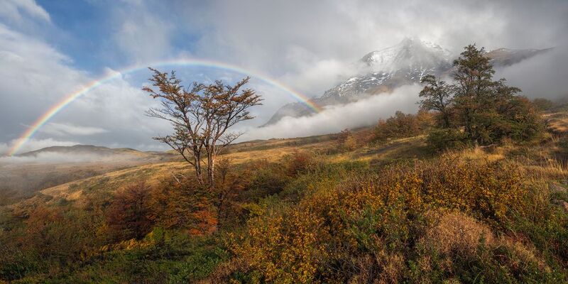 Patagonian Trailsphoto preview
