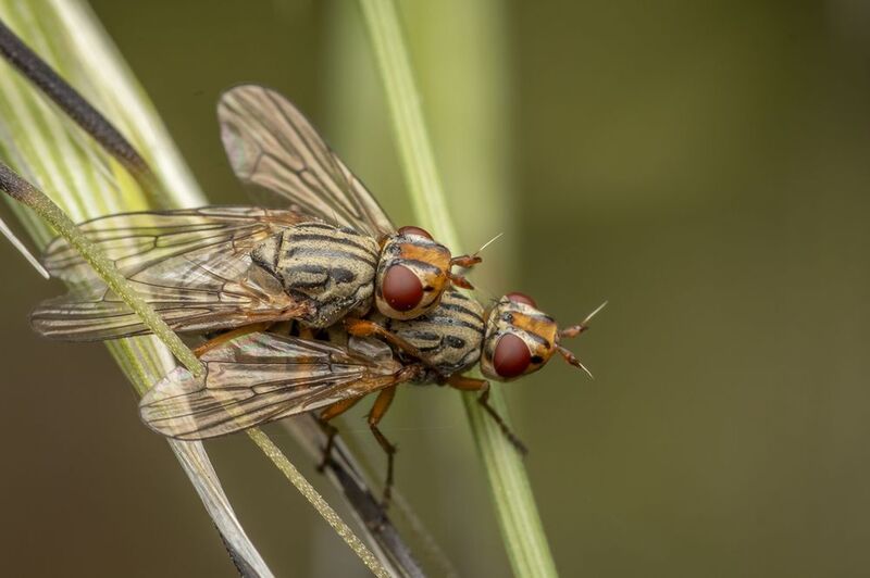 love in naturephoto preview