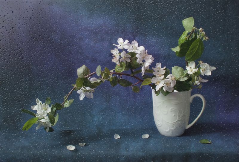 весна, дождик, яблоня, басё С ветки на ветку Тихо сбегают капли… Дождик весеннийphoto preview