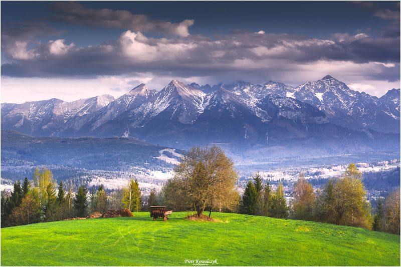 polska, góry, tatry, drzewo ***photo preview