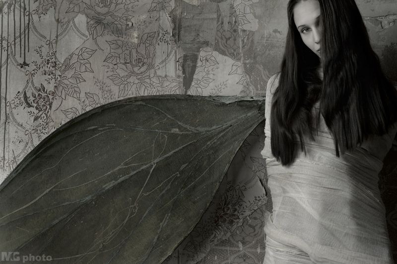 Mimicry #26photo preview