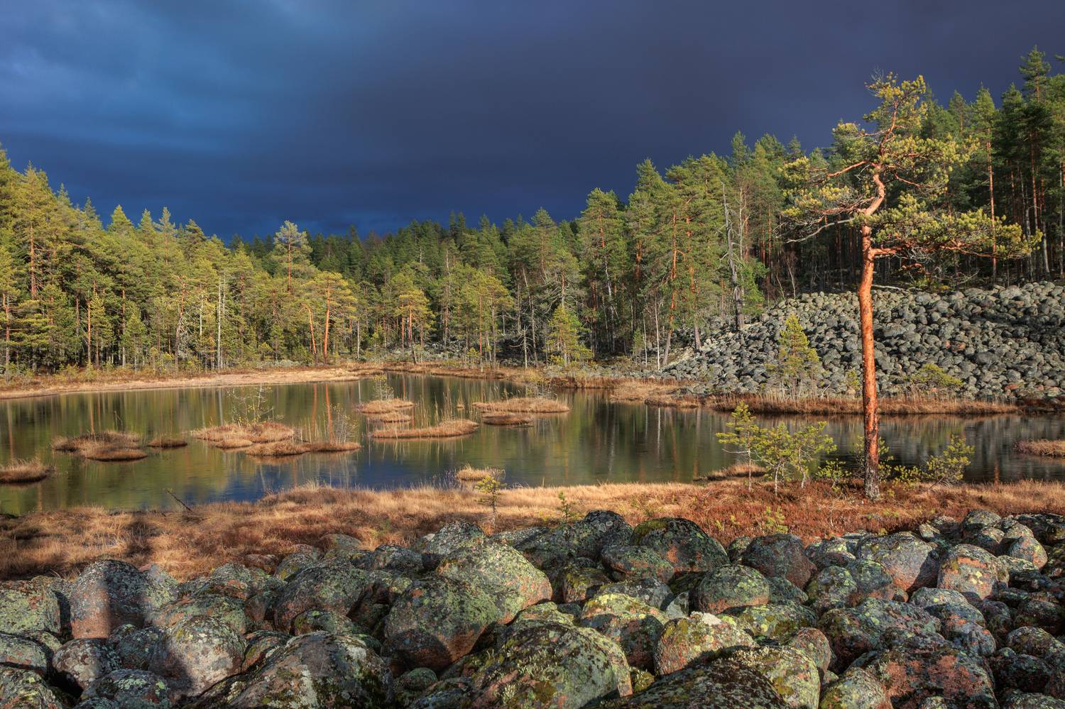 Ожидание грозы. Автор: Светлана Холодняк , Светлана Холодняк