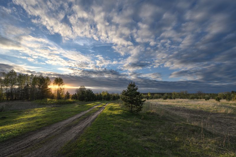весна,вечер,закат,солнце,свет,небо.облака,дорога по вечерней дорожкеphoto preview